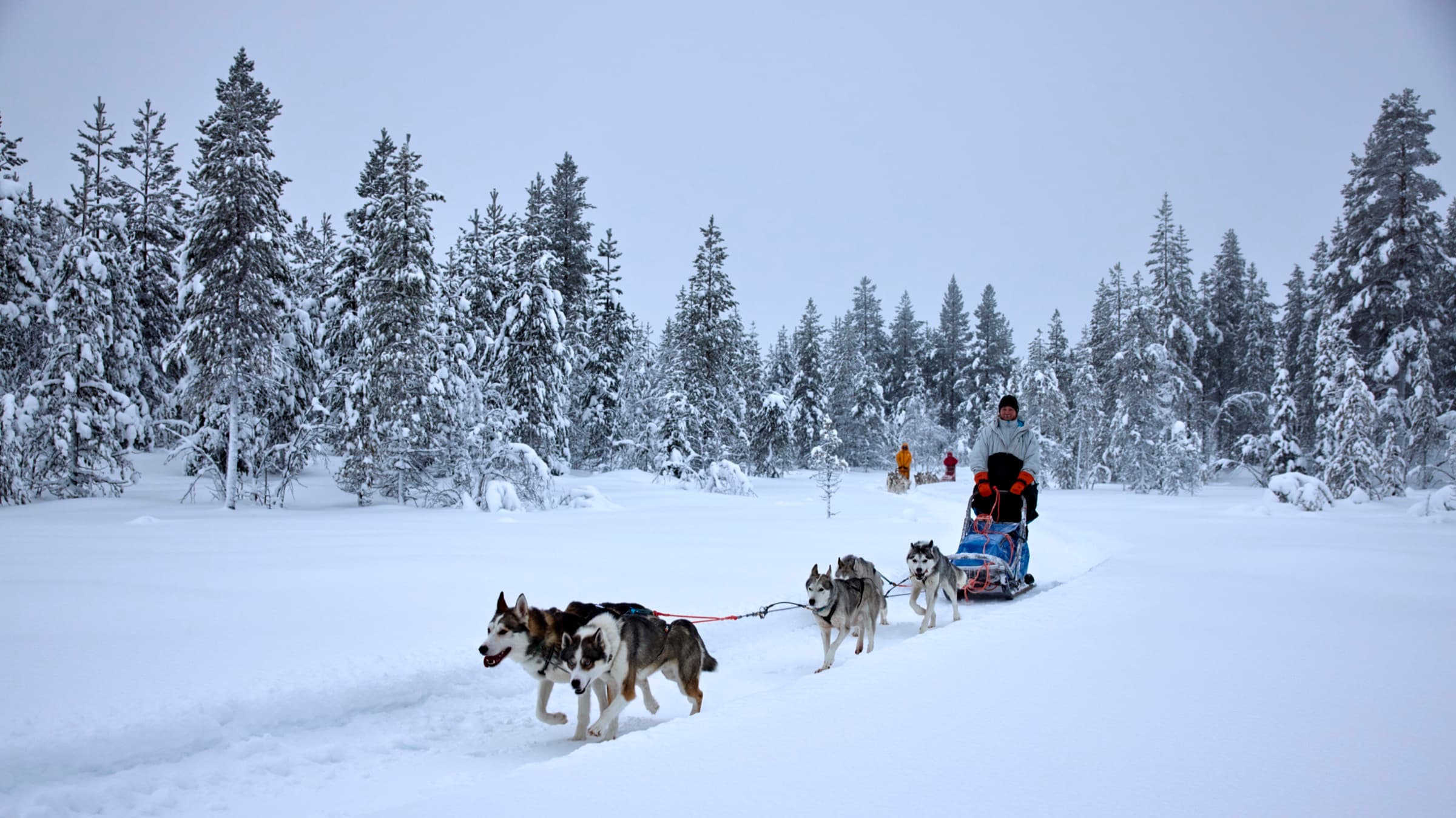 Puolipäiväretki — PahkalaRanch, Yli-Muonio