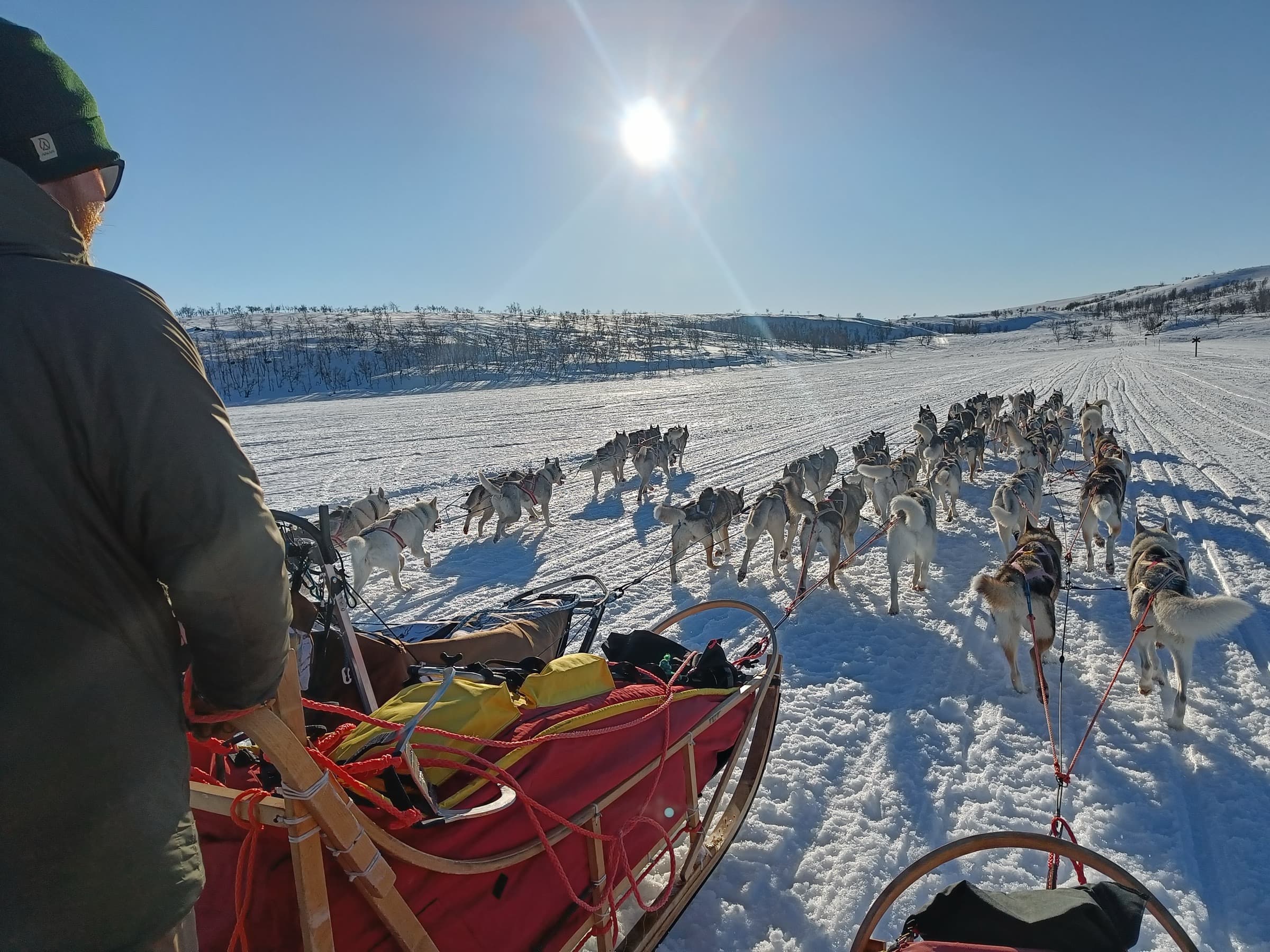 Huskyvaljakot vetävät retkirekiä aurinkoisessa tunturimaisemassa