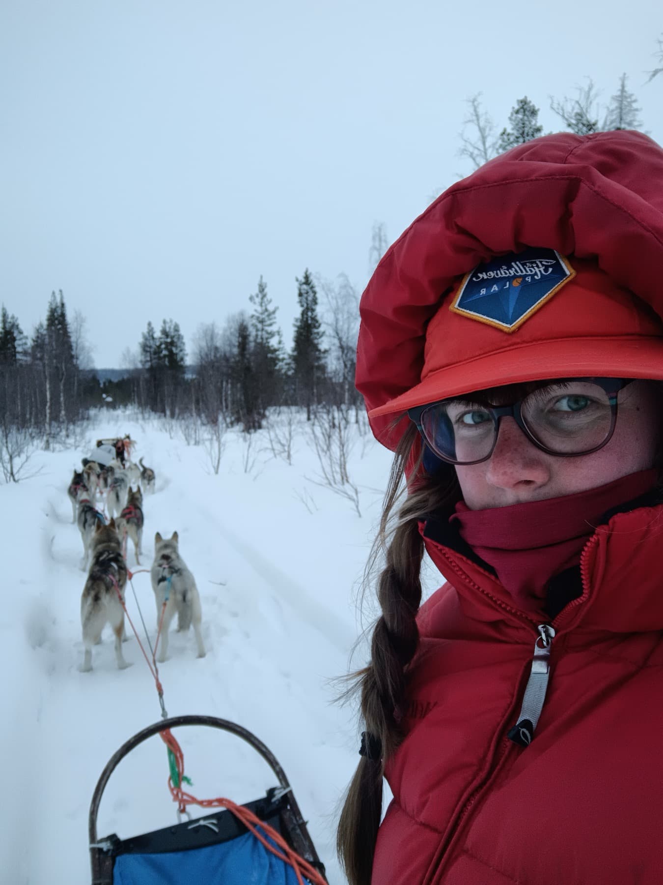 Alma with the dog team